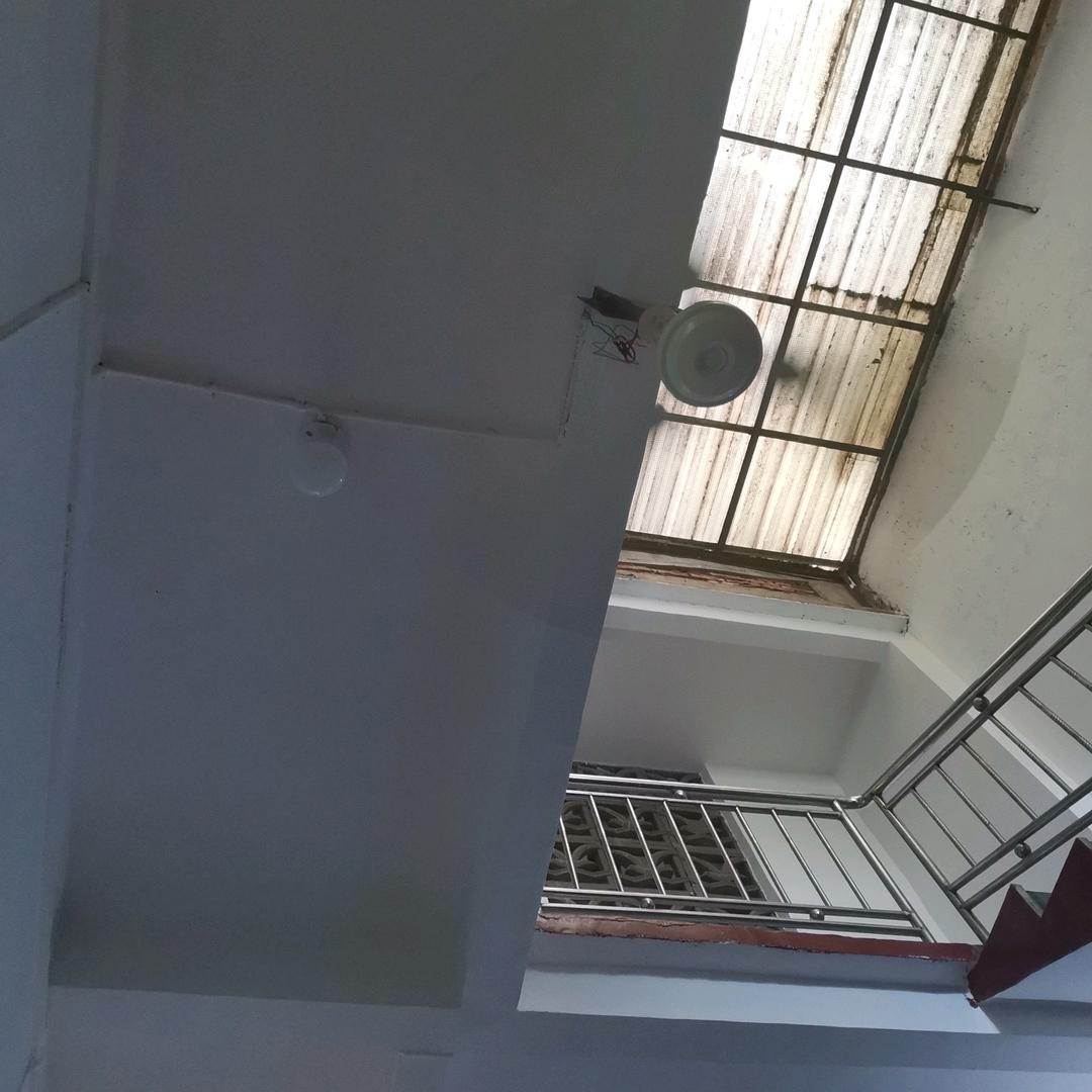 露露茗