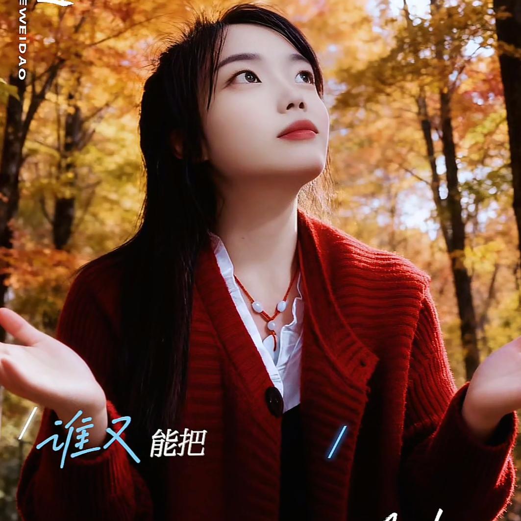 笑敬过往