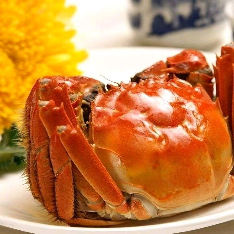 豪鲜甄选蟹鲜达