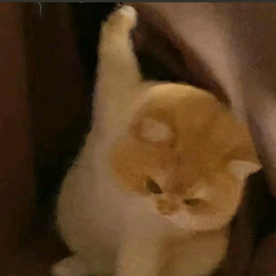 芋泥