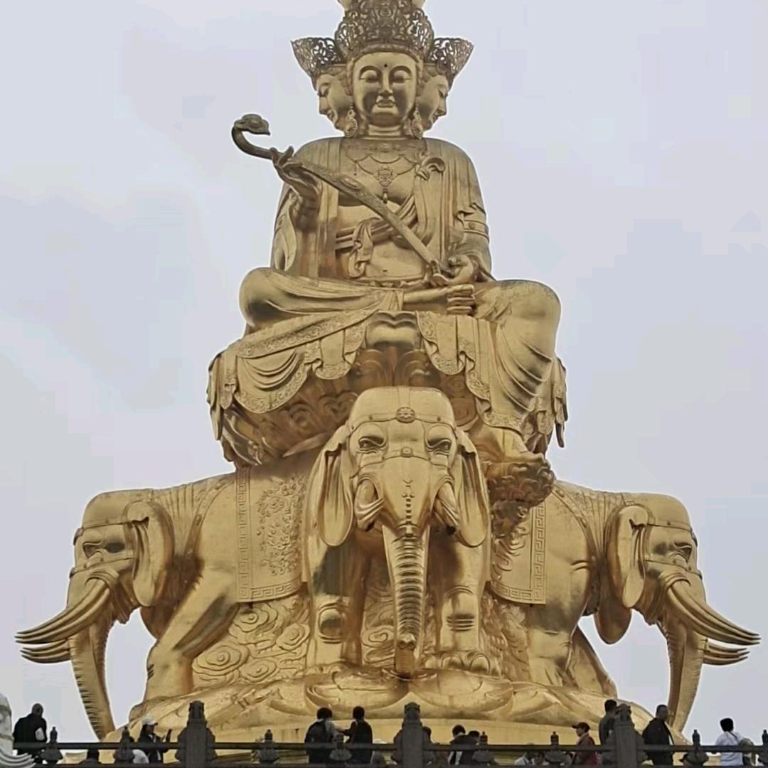 🇨🇳独🇨🇳虎🇨🇳