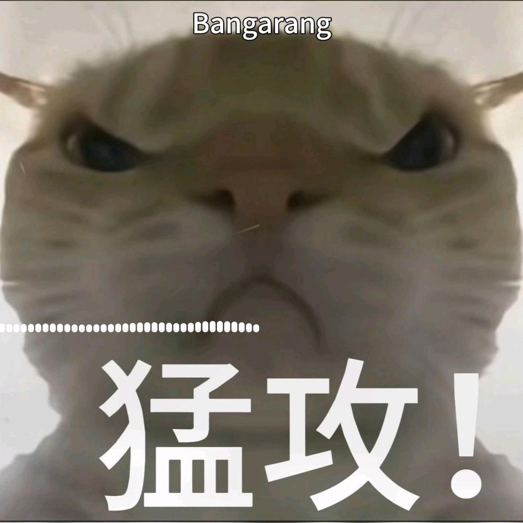 不朽(三角洲行动)