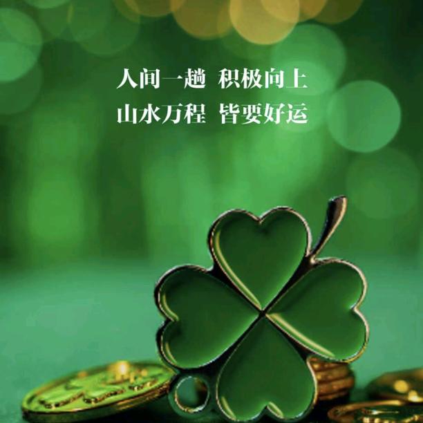 ☀️百特雷☀️