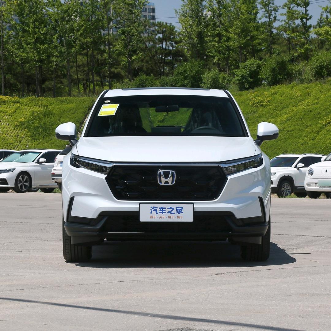 扬州天泰隆-老钱