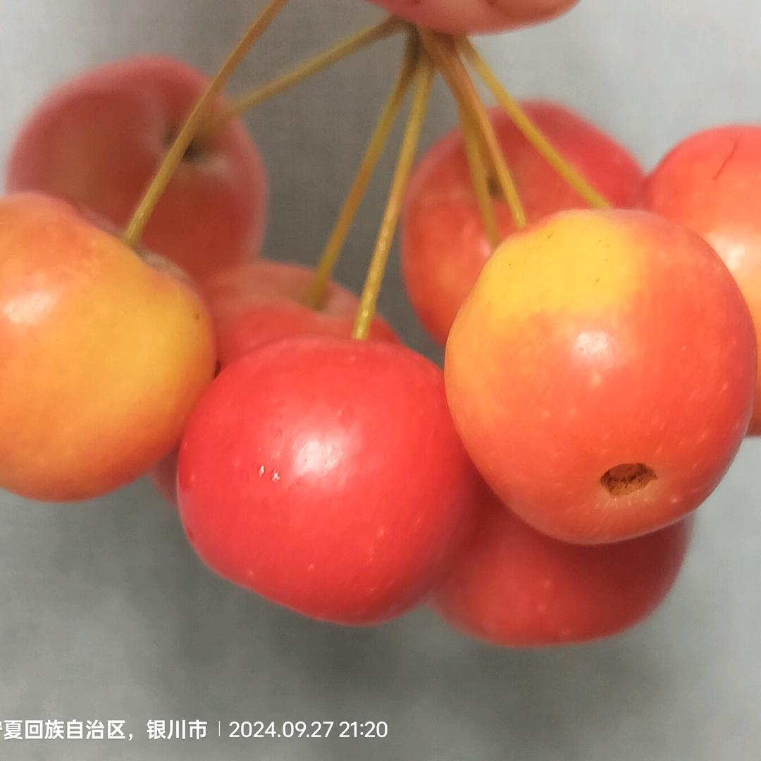 我愿