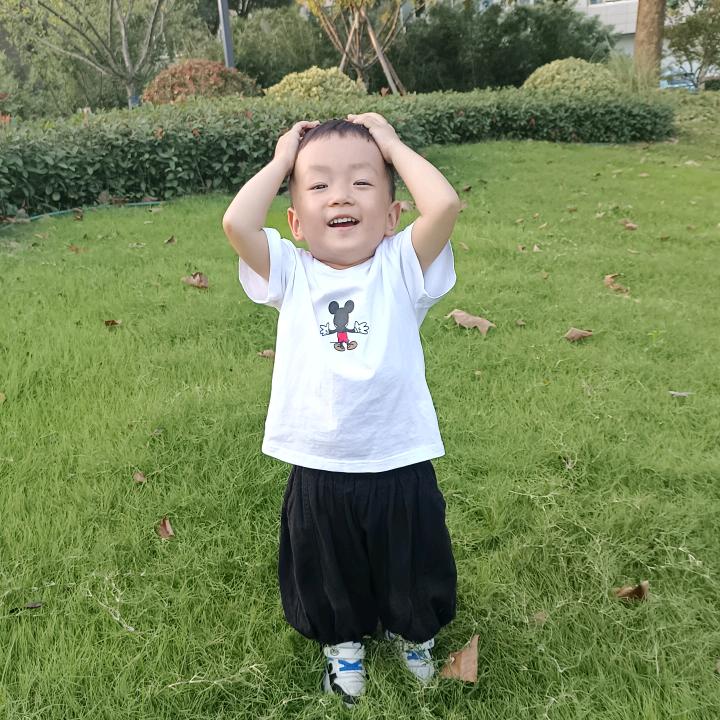 清风饮露