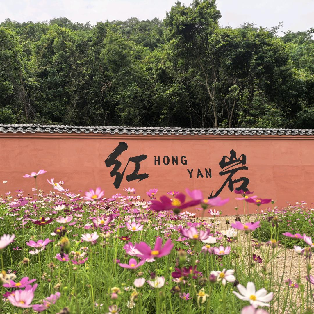 恭城红岩-柿海之花