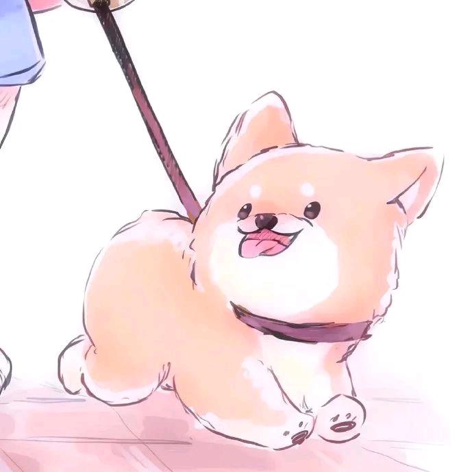 S♡Y
