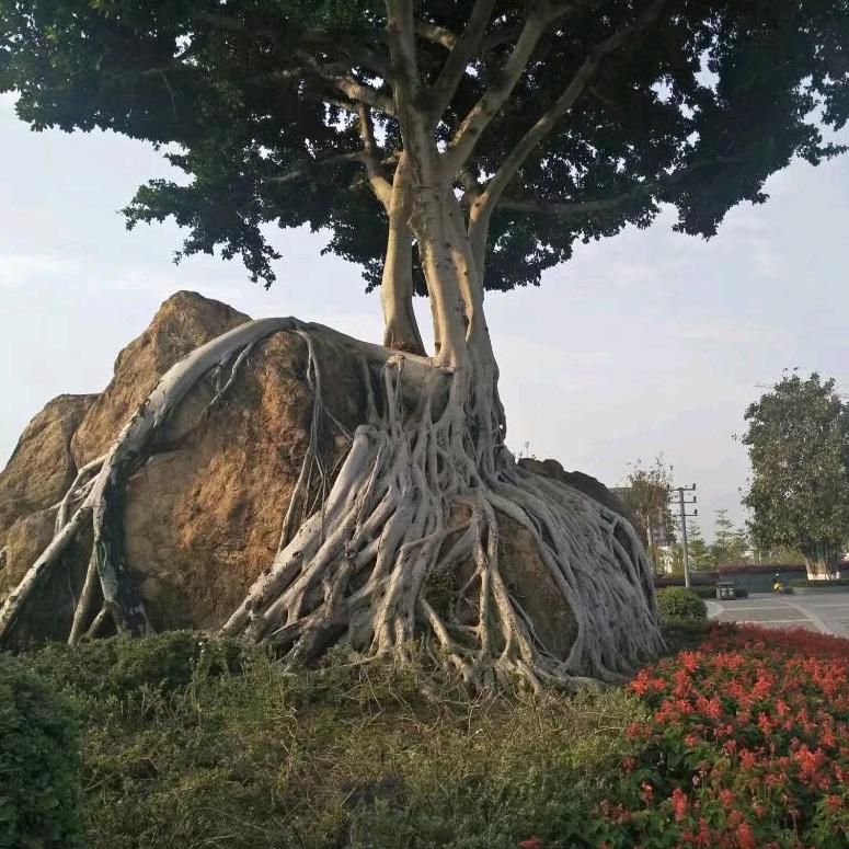 ❤️生活简单❤️