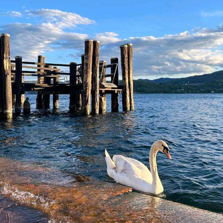 没事就数月亮🌙