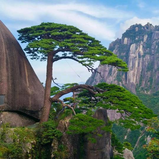 兜里半颗糖百货