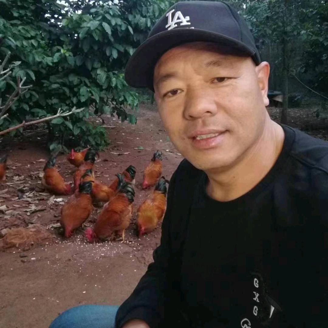 耗子哥🐀早6.28分