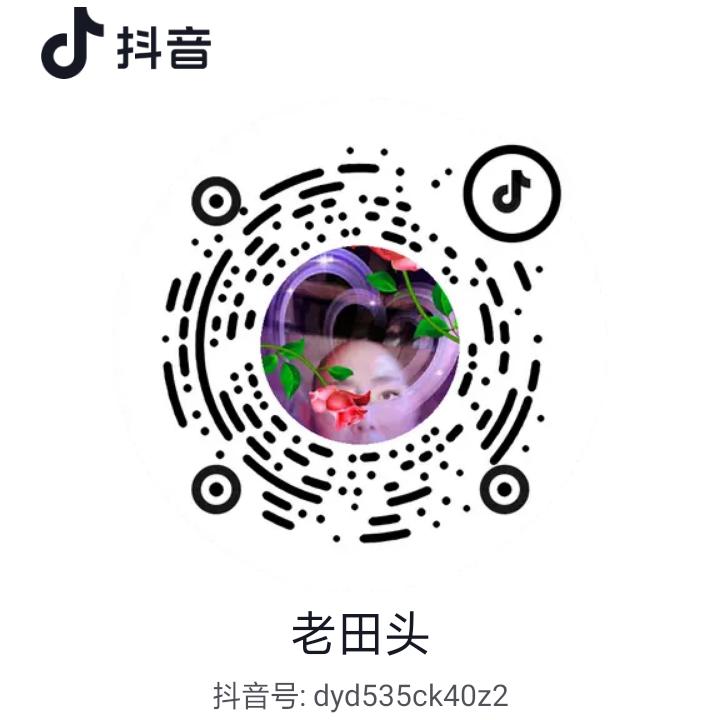 老田头