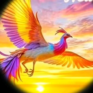 ࿐鬼🦋ꦿ໊鬼᭄🕊㶅᭄ꦿᩚ長٭