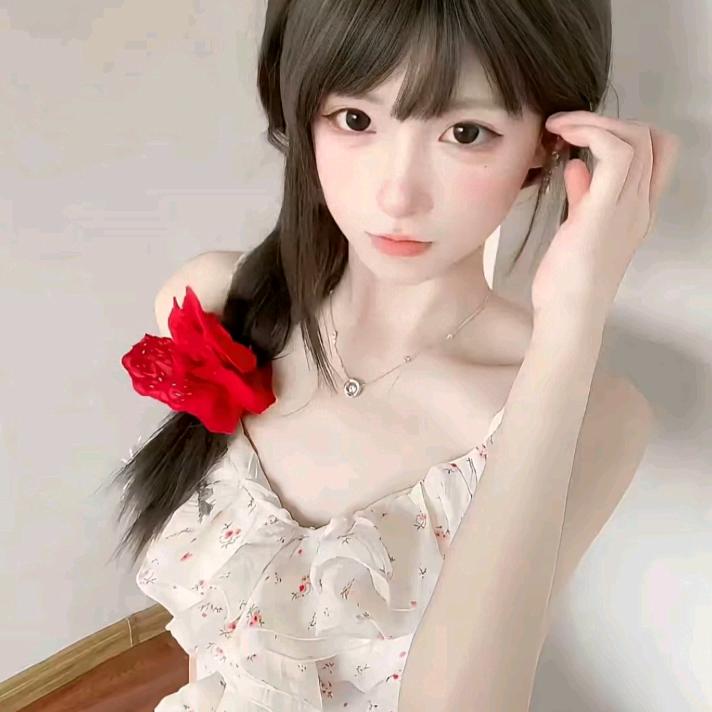 🐾悸桉☘️