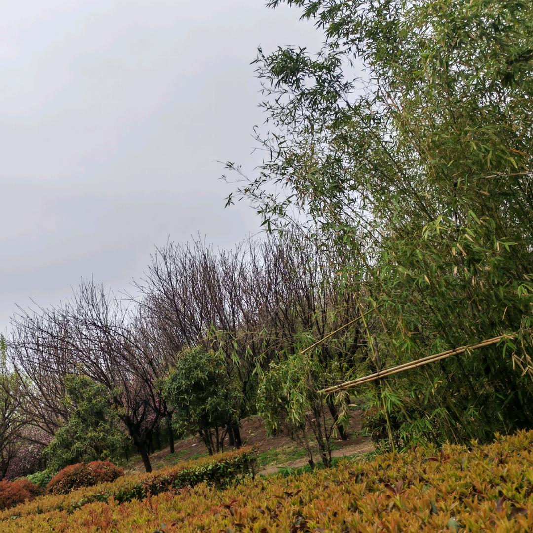 奔波在三幺八的道路上