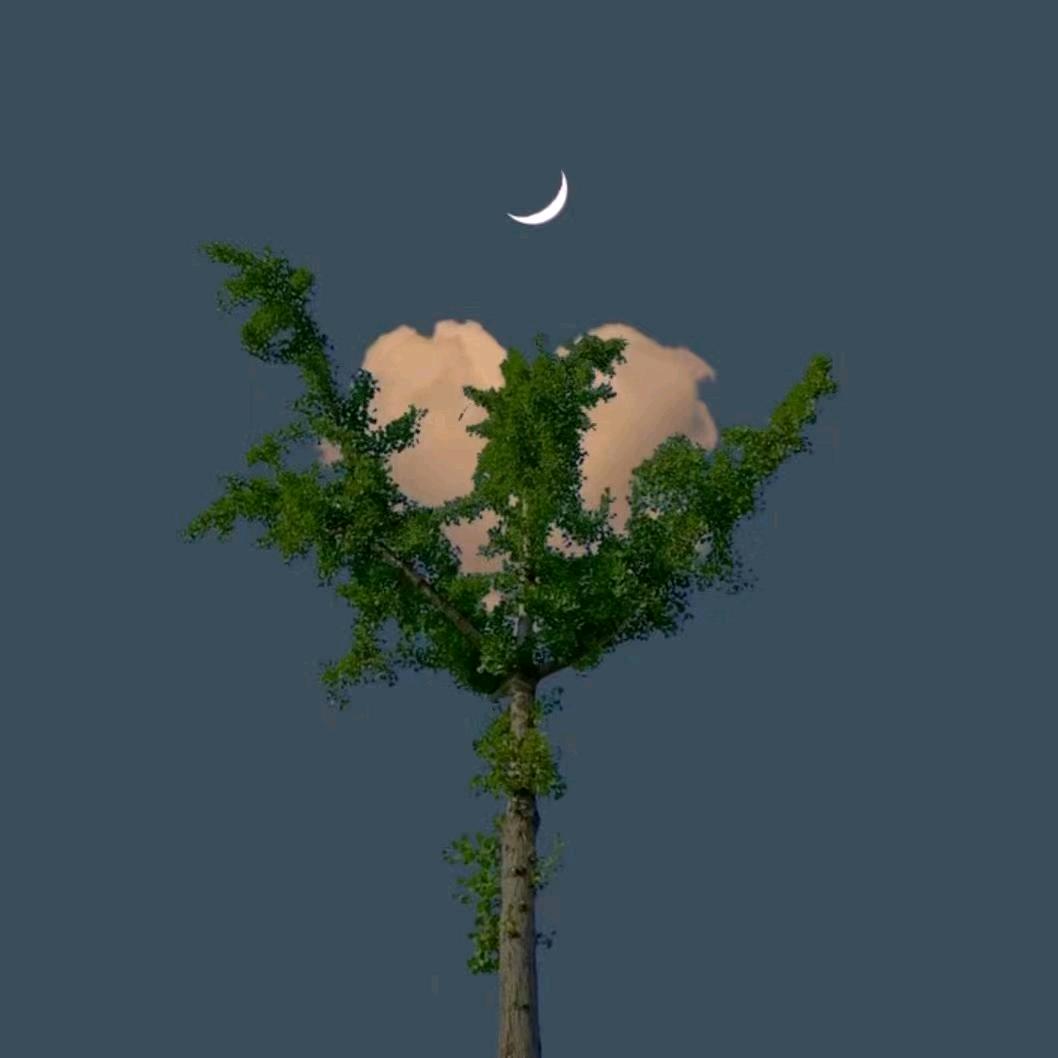 峰(◦˙▽˙◦)