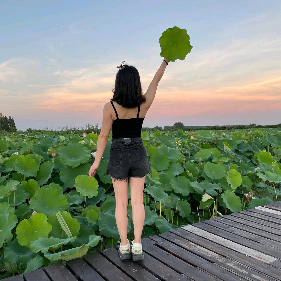 @丹丹吖