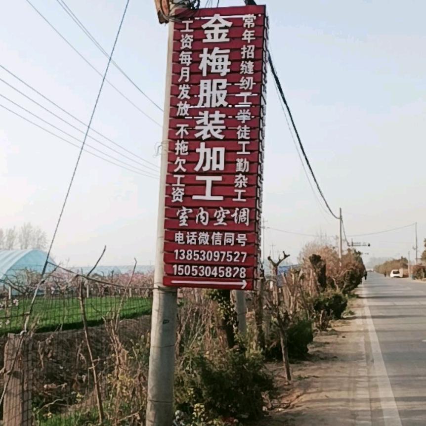 金梅