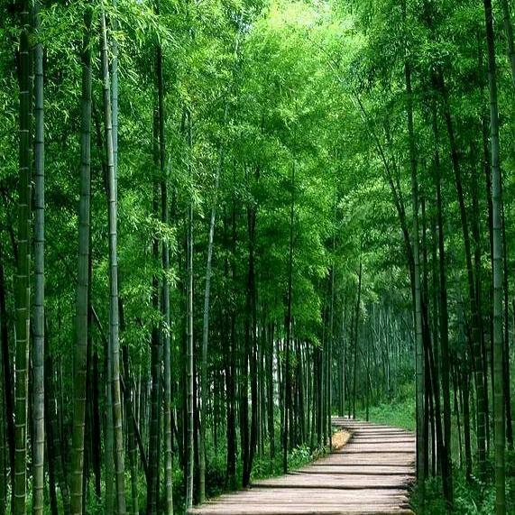 长青-汽车后市场