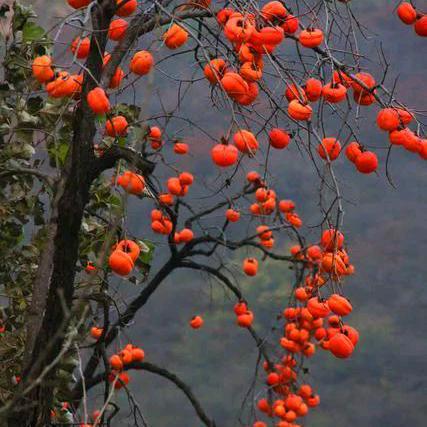 忘記過去展望未来。