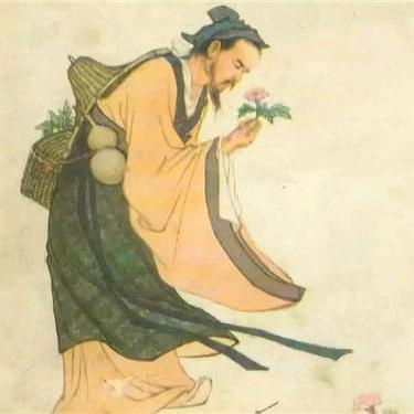 玉米