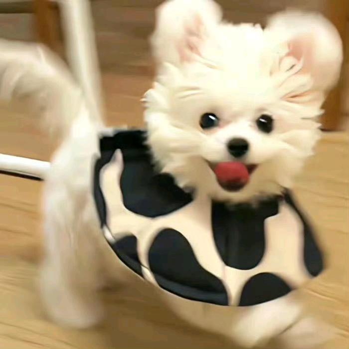 看我粉墨登场