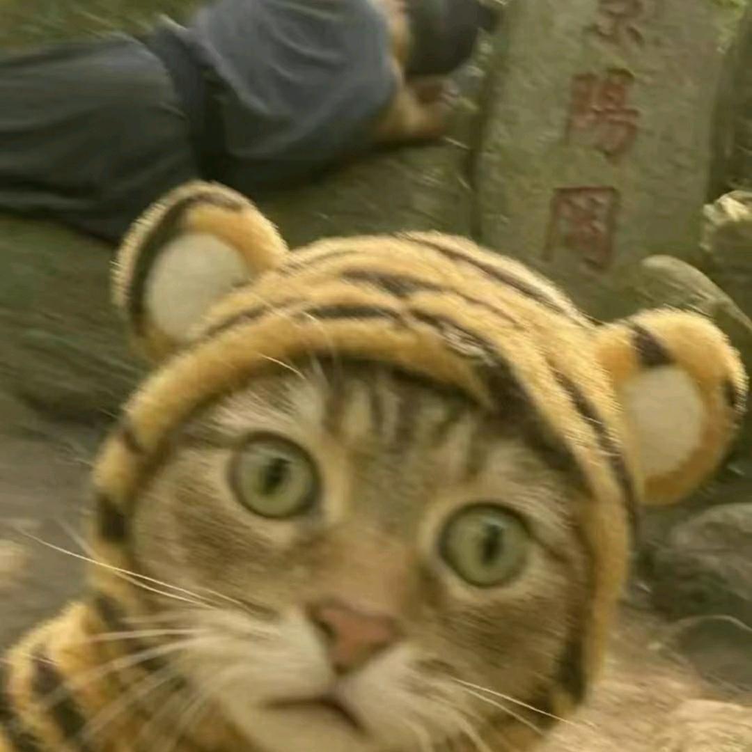 饼爷