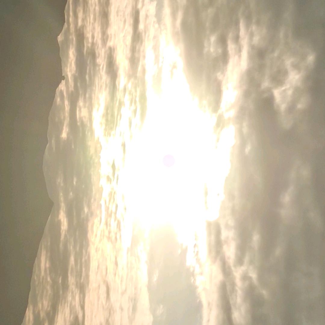 雪宝