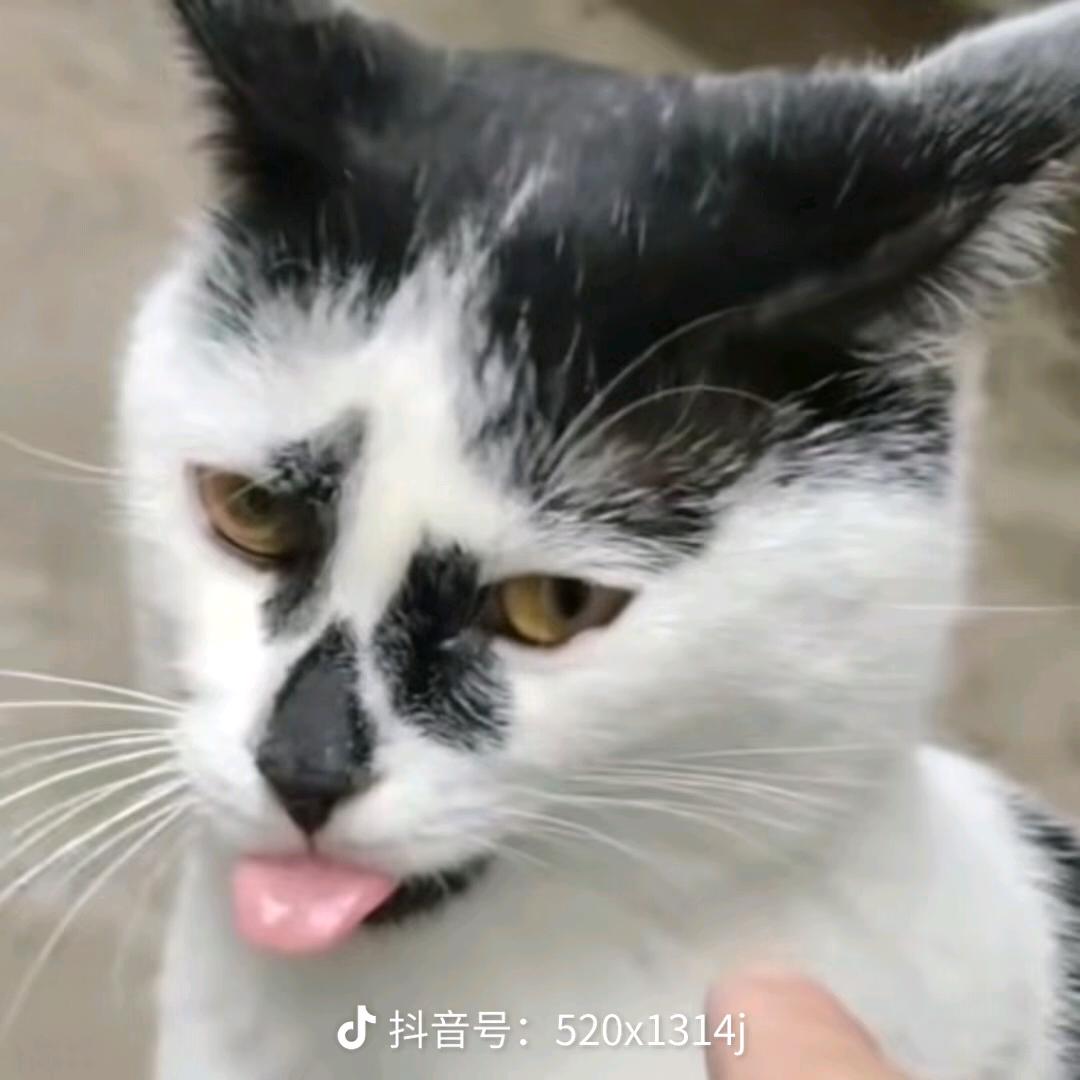 最好的🦚🐮在一起