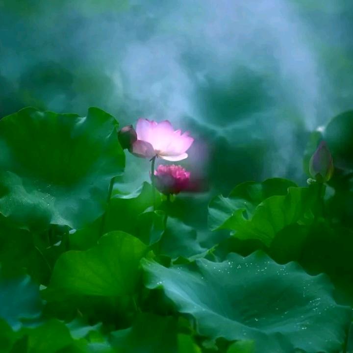 穿越轮回