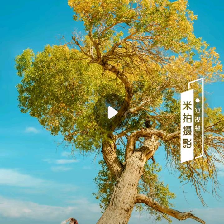 彬哥