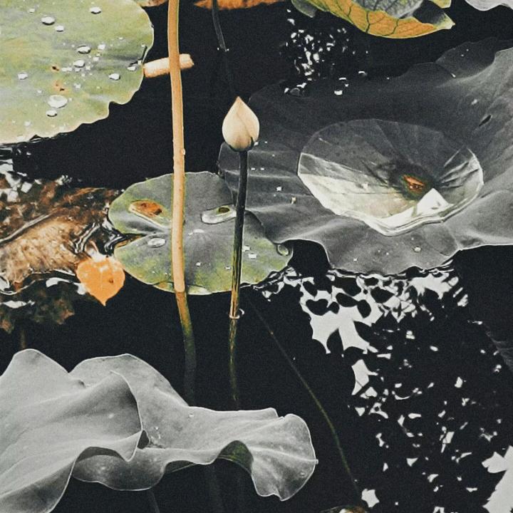 少林寺驻武当山办事处大神父杨喇嘛