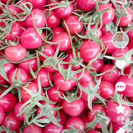 服务三农。专业代收。