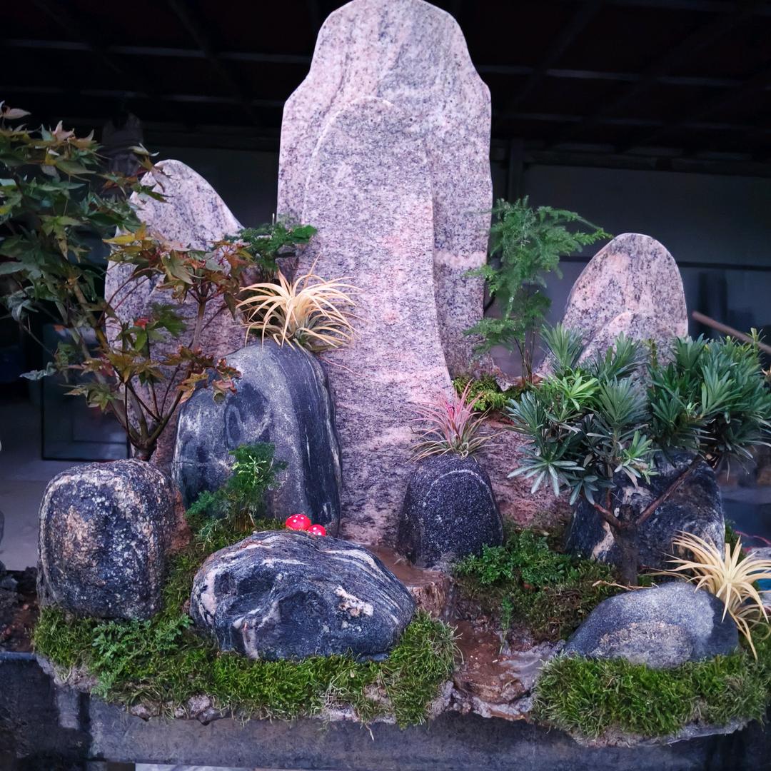 园园景观