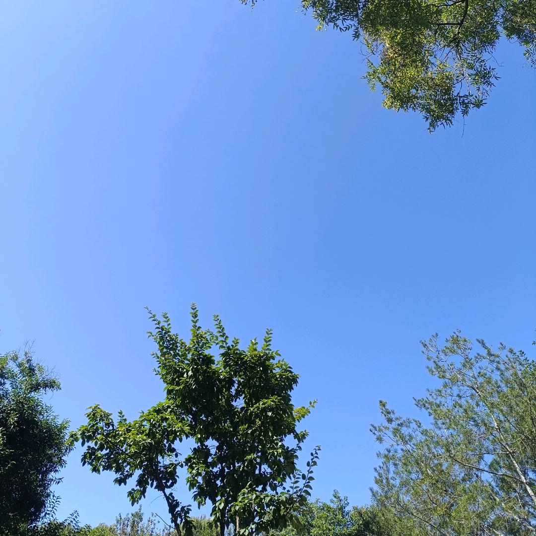 亿涵科技