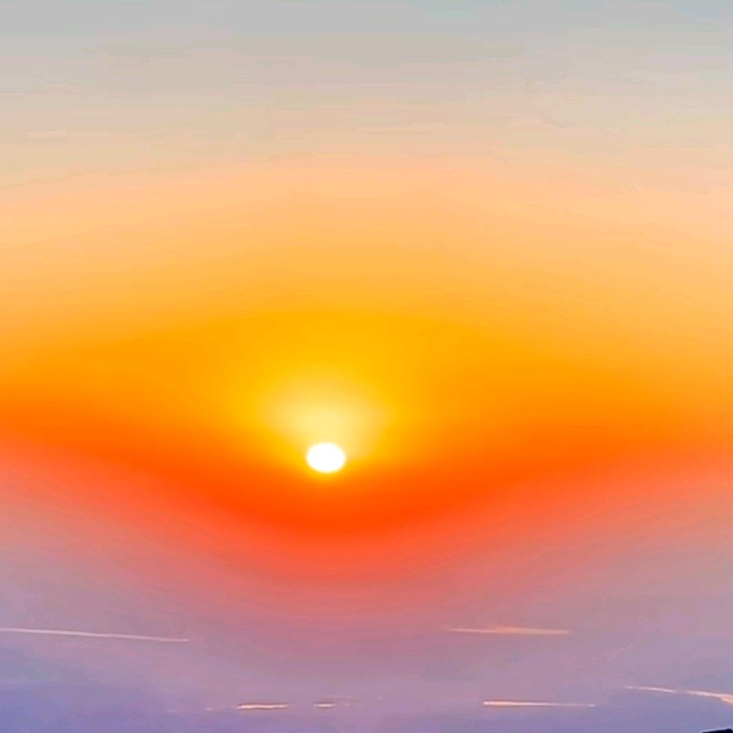 💞✔️寒梅独自开✔️💞