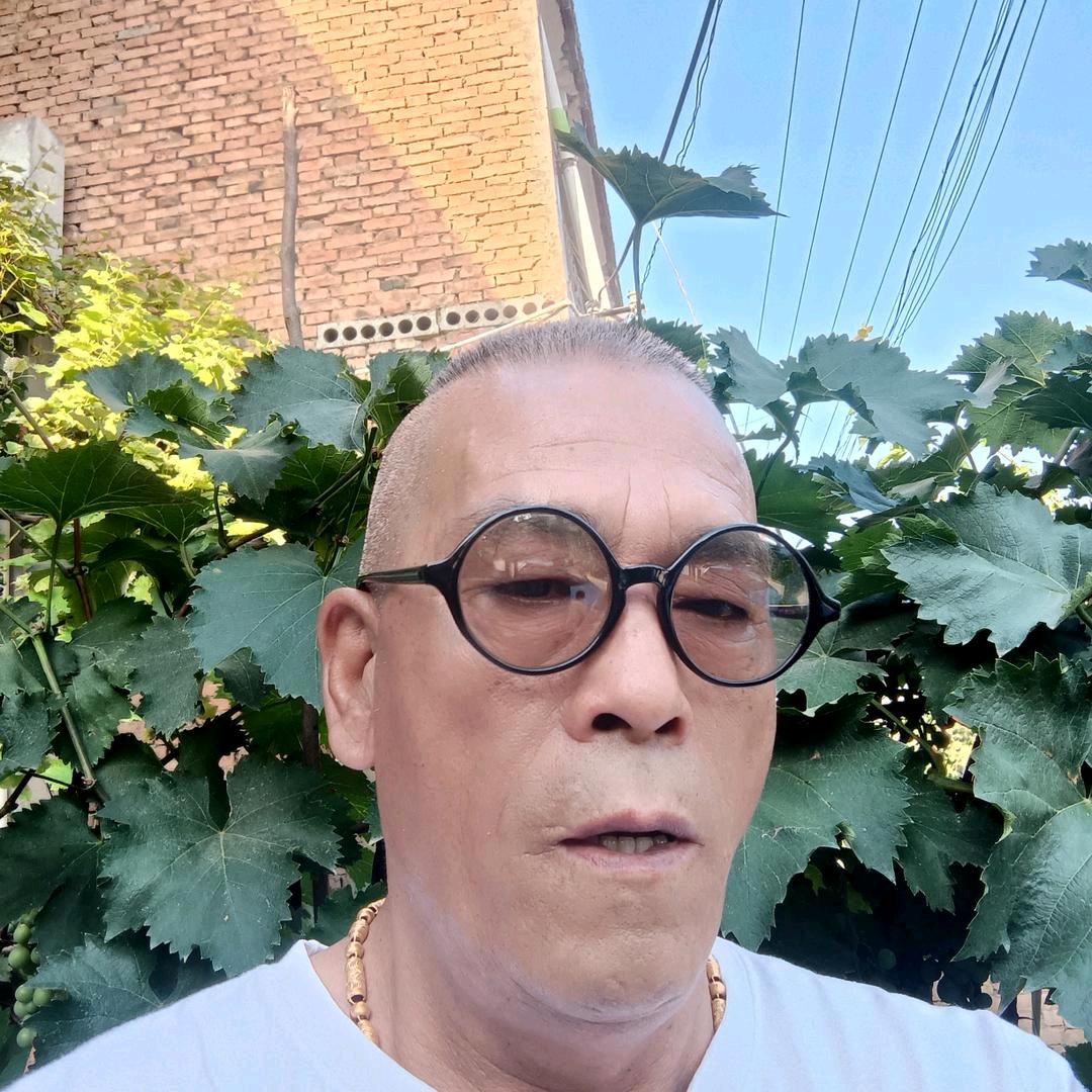 户县，西北狼。