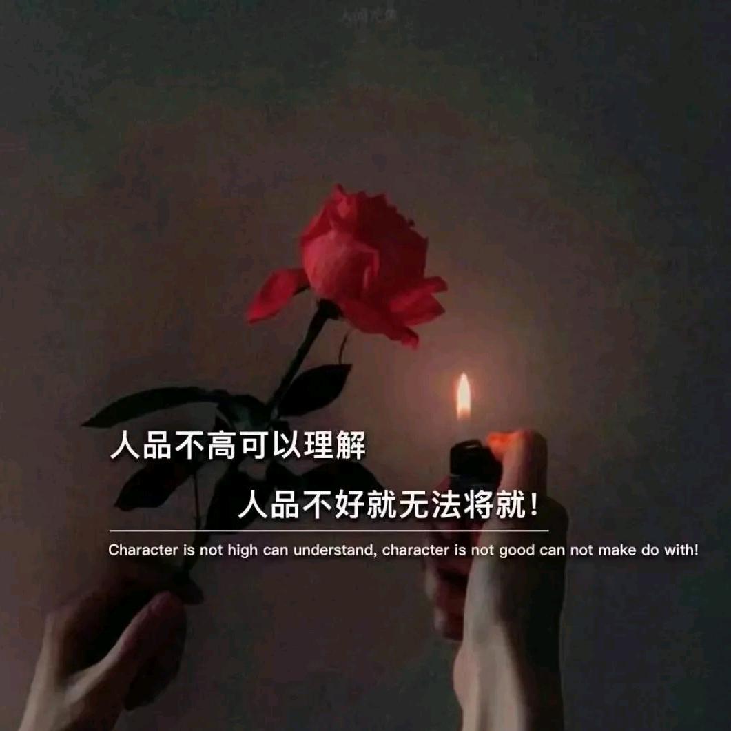 💫情感语录💫