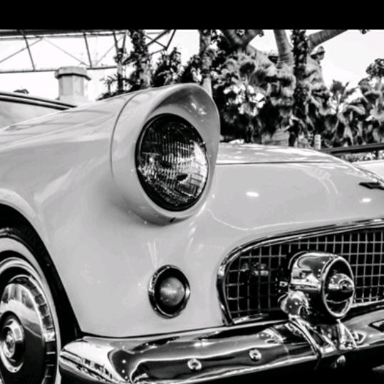 贵州巴木斯越野车会老车酱