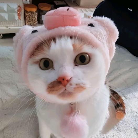 我不要考试