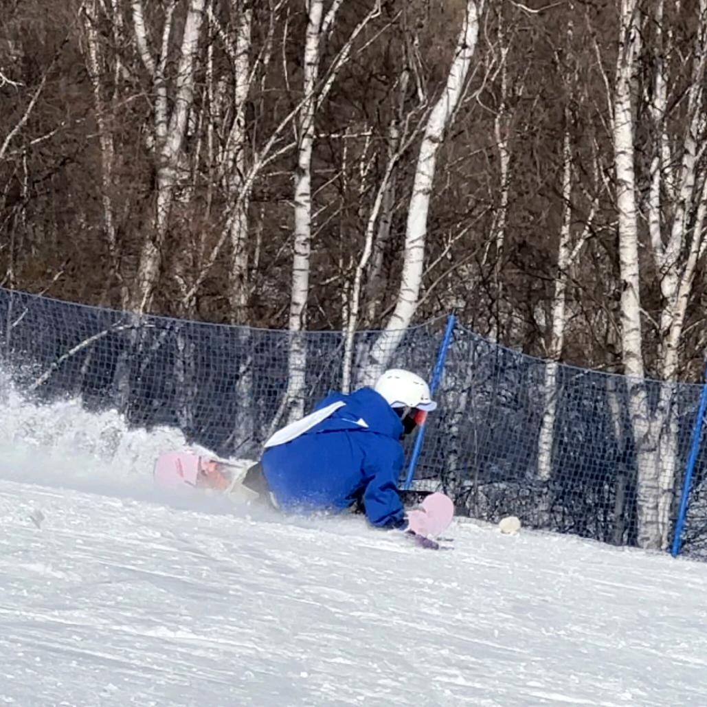 🏂 我是小小叶~