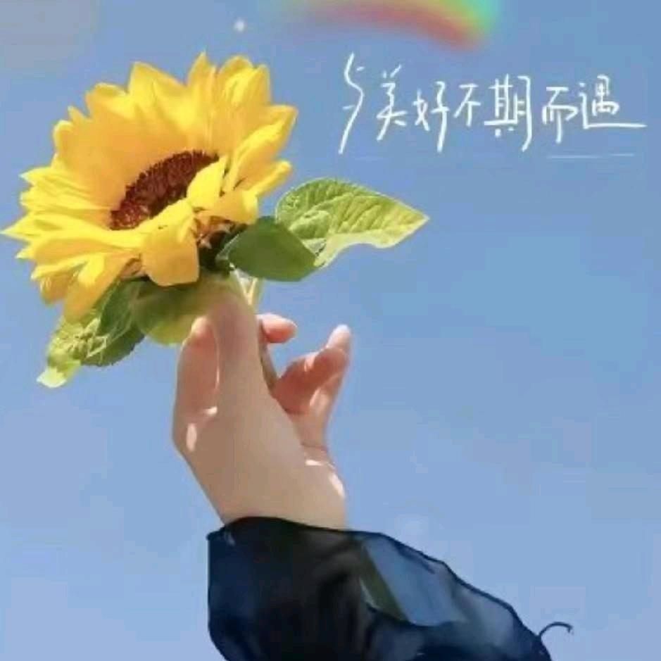 💞欢