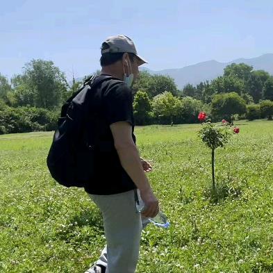 杨家湾