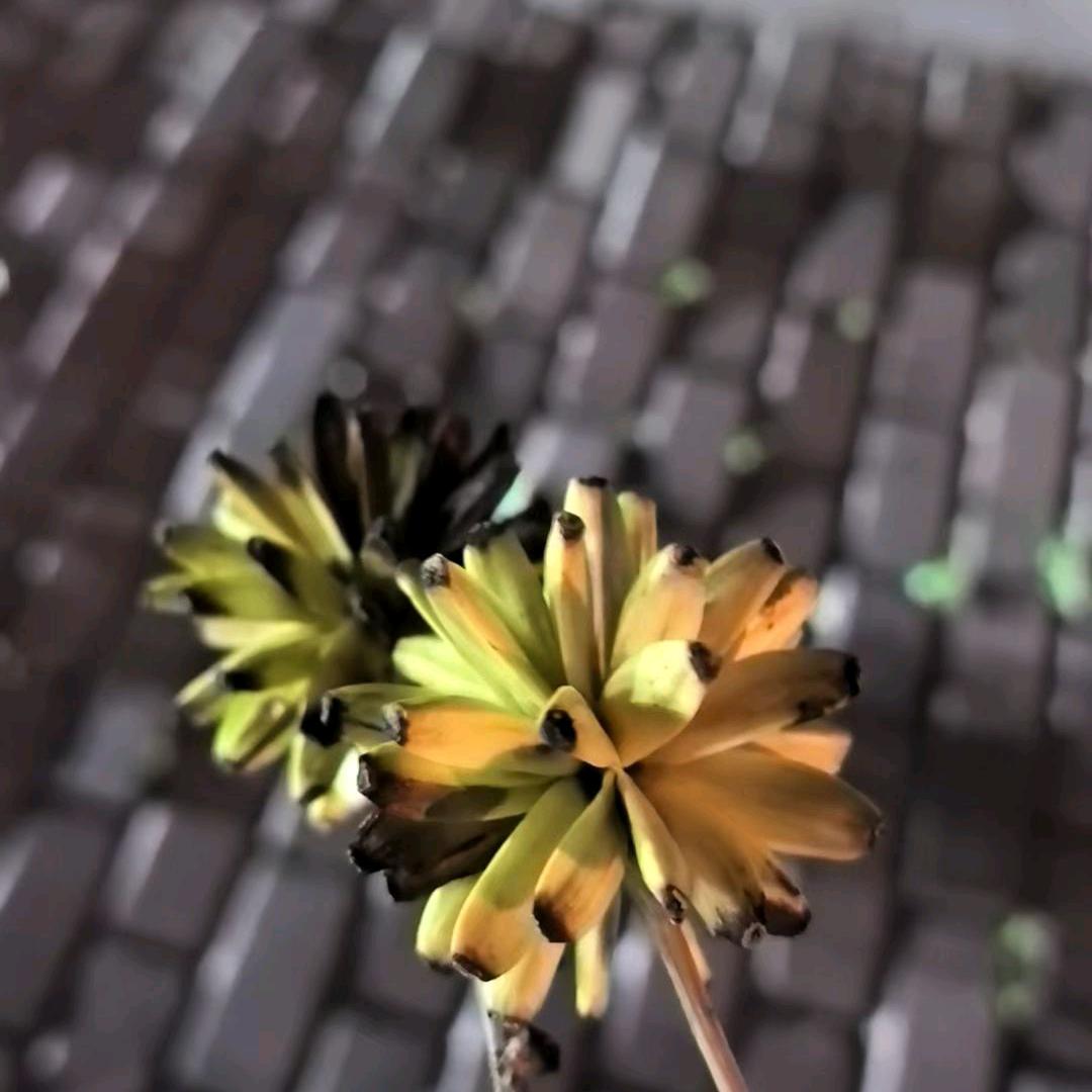 独来独往( ͡° ͜ʖ ͡°)✧