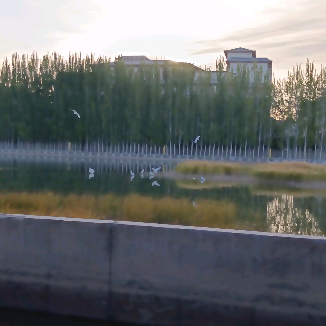 敦煌市恒铎职业培训学校沈开
