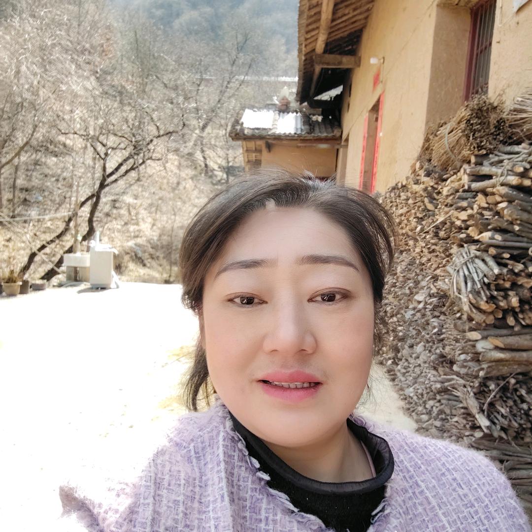陕南燕子在乡村