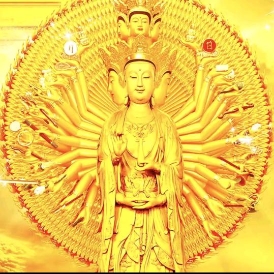 🐅沙漠胡扬1🦅