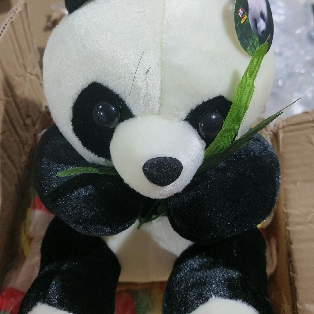 晴天大叔
