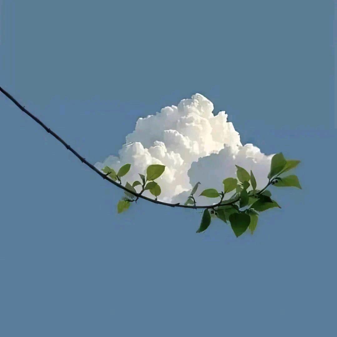 方秒